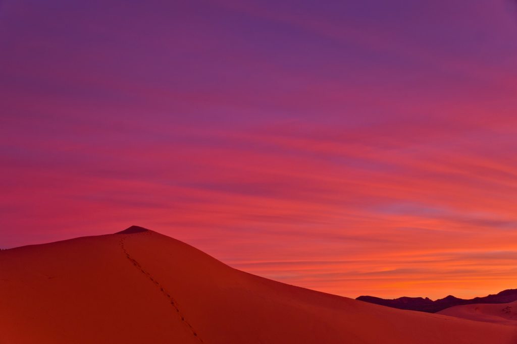 coral pink sand dunes, utah, sunset, Cheap Weekend Road Trip To Zion
